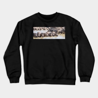 Zebra drinking. Crewneck Sweatshirt